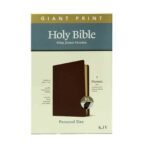 KJV Giant Print Holy Bible Filament Index