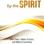 Exploring the concept of sanctification through a spiritual growth perspective in 'Sanctified by the Spirit'