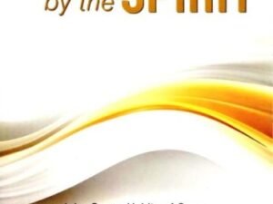 Exploring the concept of sanctification through a spiritual growth perspective in 'Sanctified by the Spirit'