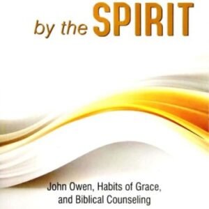Exploring the concept of sanctification through a spiritual growth perspective in 'Sanctified by the Spirit'