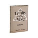 Exploring the concept of the Trinity in the context of the Bible.
