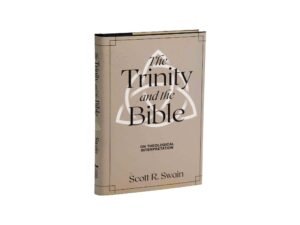 Exploring the concept of the Trinity in the context of the Bible.