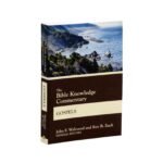 In-depth Bible commentary on the Gospels and Jesus' life, providing comprehensive understanding.