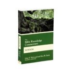 In-depth biblical commentary on wisdom literature, providing insights and analysis for scholars and theologians.