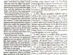 Tamil-English Parallel Bible, Large Font China Print Edition, Burgundy Leather Bound, BSI Publication (ISBN: 9789393511874)