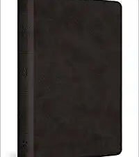 English Standard Version ESV Pocket Bible in black imitation leather.