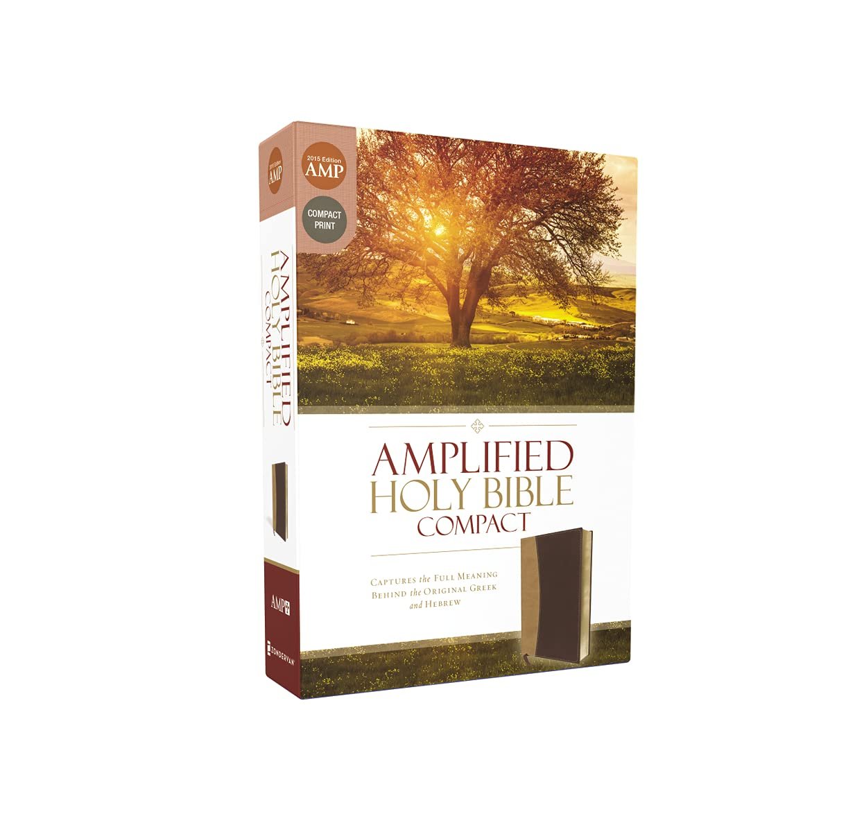 Compact Amplified Holy Bible in Leathersoft Camel/Burgundy