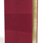 Burgundy Leathersoft NIV Study Bible, Fully Revised Edition