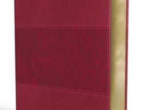 NIV Study Bible in Imitation Leather, New International Version