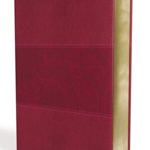 NIV Study Bible in Imitation Leather, New International Version