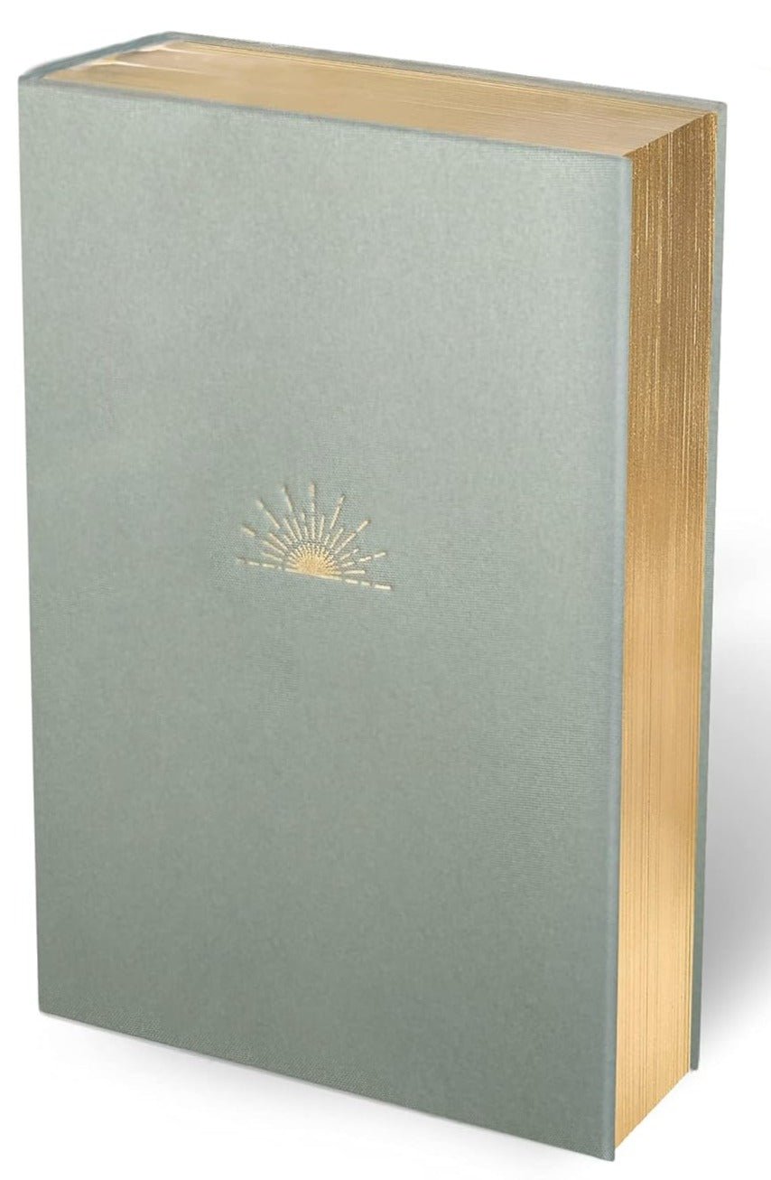 Seafoam Green cloth over board deluxe NLT Dayspring Hope & Encouragement Bible with devotions and journaling space