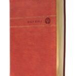 Men's Devotional Bible in Leathersoft Brown, NIV