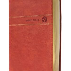 Men's Devotional Bible in Leathersoft Brown, NIV