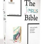 Holy Bible: New International Version, Multi-Color / Teal, Leathersoft, Study, Comfort Print Imitation Leather – Import