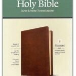 NLT Giant Print Personal Size Bible, Rustic Brown Soft Leather Cover