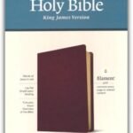 Giant Print KJV Bible in Red Letter Edition with Brown Genuine Leather Binding