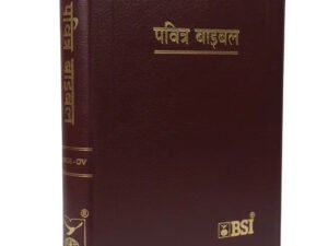 Limited Edition Hindi Holy Bible O.V. Re-edited edition, YAP, large Print.