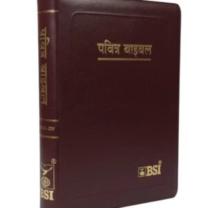 Limited Edition Hindi Holy Bible O.V. Re-edited edition, YAP, large Print.