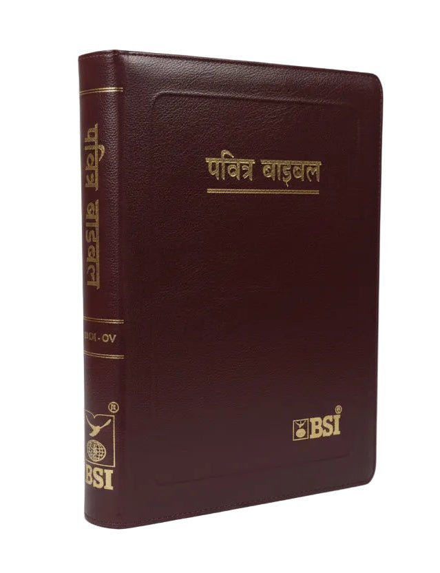 YAP Hindi Holy Bible, Large Print, Re-edited Edition.