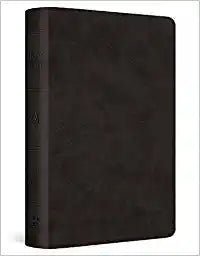English Standard Version ESV pocket Bible in black TruTone imitation leather