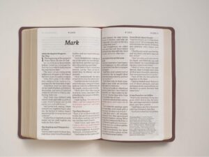 King James Version Personal Size Giant Print Bible, Brown Leather Bound, Red Letter