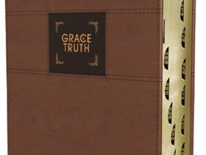 Professional NIV study Bible with indexed leather cover