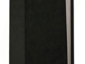 NLT Life Recovery Bible, Personal Size, imitation leather black onyx