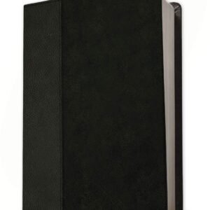 NLT Life Recovery Bible, Personal Size, imitation leather black onyx