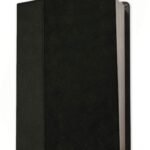 Personal Size NLT Life Recovery Bible in imitation leather black onyx