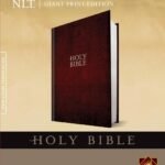 Clearance sale 2024! NLT Holy Bible, Giant Print Hardcover – Large Print,