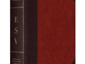 ESV Study Bible,(TruTone, Brown/Cordovan, Portfolio Design): English Standard Version, Brown/Cordovan, Trutone, Portfolio Design Imitation Leather