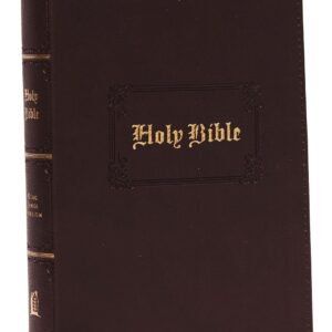 King James Version Bible with large print and comfort print, perfect for reading and reference