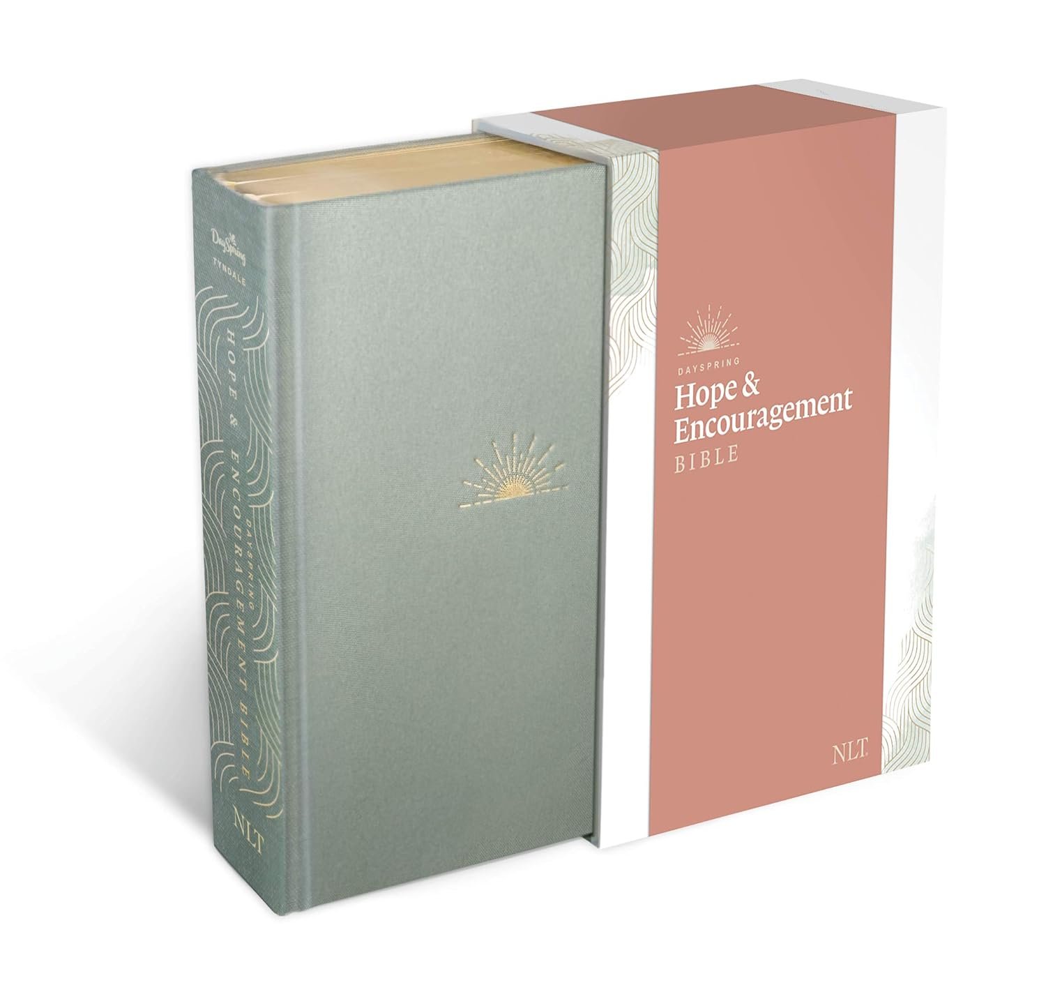 Cloth over board deluxe Seafoam Green NLT Dayspring Hope & Encouragement Bible with devotional content and wide margins