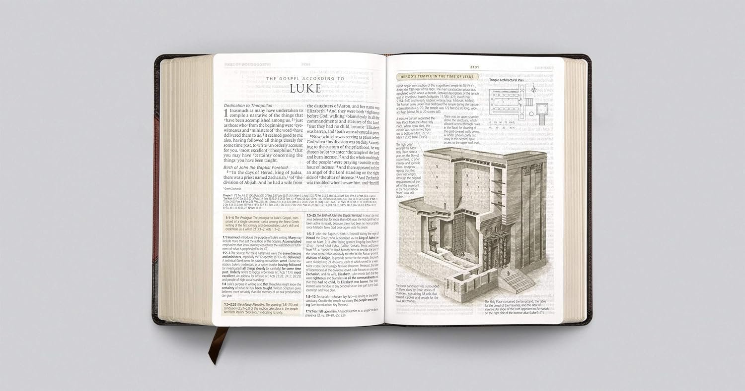ESV Study Bible,(TruTone, Brown/Cordovan, Portfolio Design): English Standard Version, Brown/Cordovan, Trutone, Portfolio Design Imitation Leather