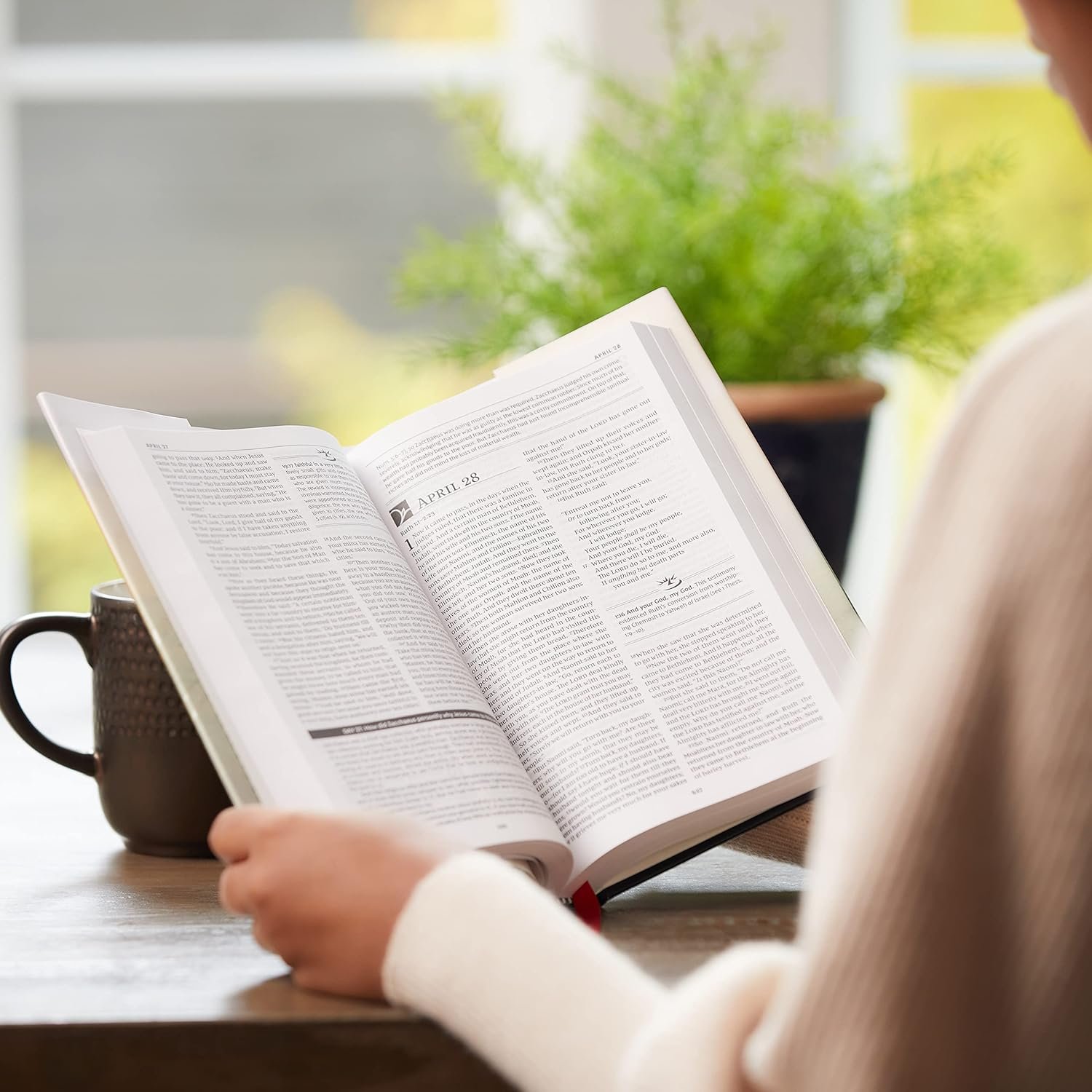 MacArthur Daily Bible NKJV one-year study in the Word of God