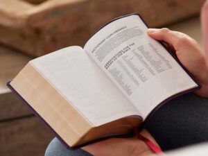 Compact New King James Version Bible with red letter and cross references for easy reading.