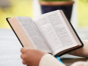 KJV, Holy Bible Maclaren Series, Compact Brown Leather Soft Comport Print. Thomas Nelson