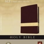 New Living Translation Giant Print Holy Bible with Tutone Wine/Gold Leather Like Binding and Index