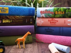 Leathersoft Coral NIrV Adventure Bible for Early Readers