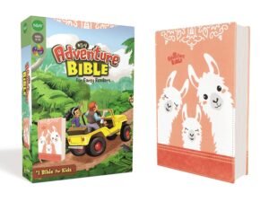 Adventure Bible for Early Readers NIrV, Coral Leathersoft