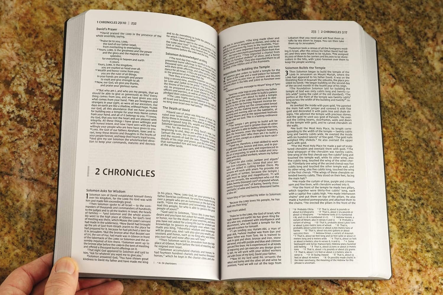 Soft Touch Edition NIV Holy Bible in imitation leather