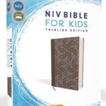 Clearance sale 2024! Niv, Bible for Kids, Cloth Over Board, Blue, Red Letter, Comfort Print: New International Version, Blue, Bible for Kids, Thinline Edition Hardcover – Import,