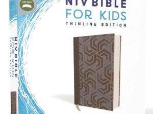Clearance sale 2024! Niv, Bible for Kids, Cloth Over Board, Blue, Red Letter, Comfort Print: New International Version, Blue, Bible for Kids, Thinline Edition Hardcover – Import,