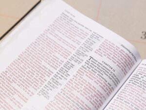 KJV, Thinline Reference Bible, Bonded Leather, Burgundy, Thumb Indexed, Red Letter, Comfort Print: Holy Bible, King James Version Bonded Leather – Import
