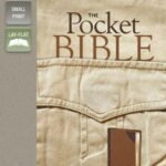 NIV Pocket Bible in imitation leather brown/tan cover.