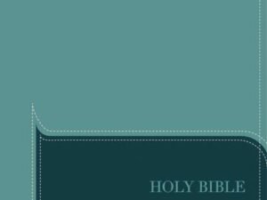 Products NIV, Understand the Faith Study Bible