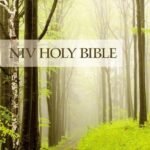 NIV Value Outreach Bible, Paperback