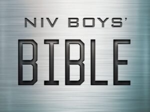 Niv, Boys' Bible, Hardcover, Comfort Print: New International Version, Boys' Bible, Hardcover, Comfort Print