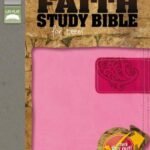 NIV, Rock Solid Faith Study Bible for Teens