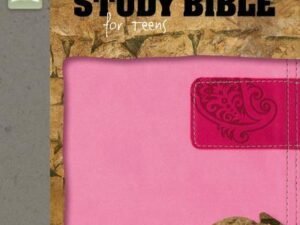 NIV, Rock Solid Faith Study Bible for Teens